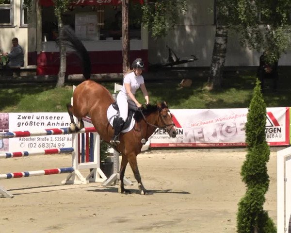 Reitturnier Kurtscheid 2017