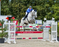 Springpferd Chaps (Westfale, 2009, von VDL Cardento 933)