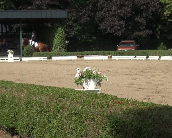 Reitturnier Krefeld - Reitanlage Kühnen 2017