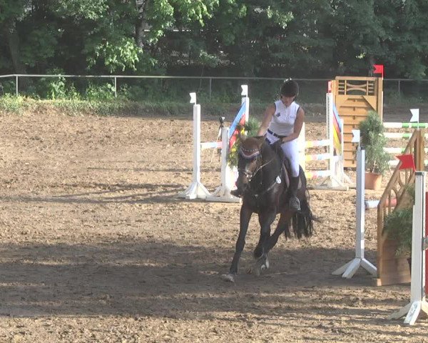 Reitturnier Wiesloch 2017