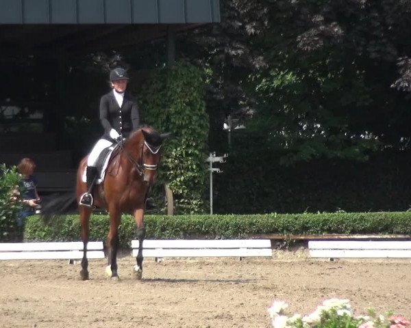 Reitturnier Krefeld - Reitanlage Kühnen 2017