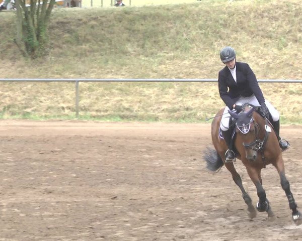 Reitturnier Wiesloch 2017