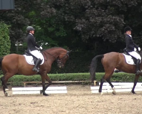 Reitturnier Krefeld - Reitanlage Kühnen 2017