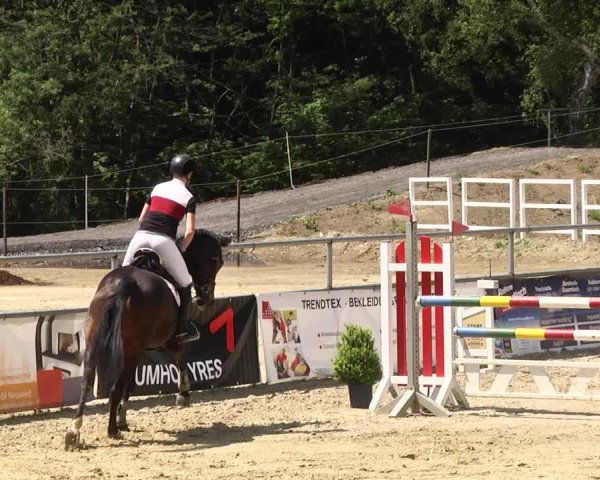 Reitturnier Kurtscheid 2017