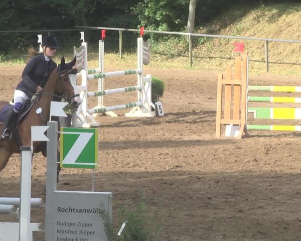 Reitturnier Wiesloch 2017