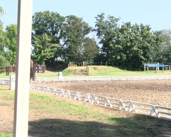 Reitturnier Reilingen 2021
