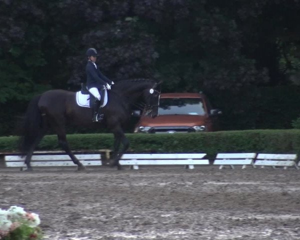 Reitturnier Krefeld - Reitanlage Kühnen 2017