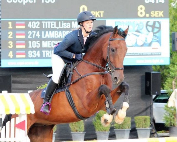 jumper Cooper 136 (Holsteiner, 2008, from Calido I)