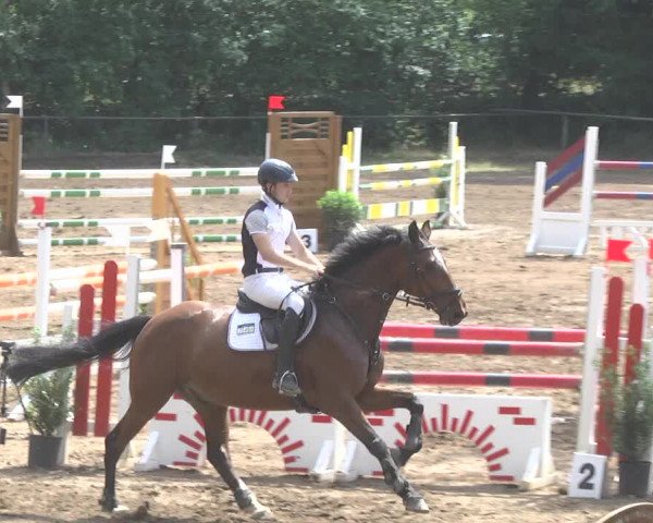 Reitturnier Wiesloch 2017