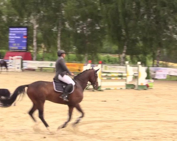 Reitturnier Schwerte-Gut Kückshausen 2017