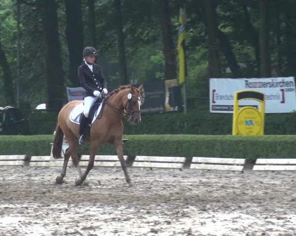 Reitturnier Krefeld - Reitanlage Kühnen 2017