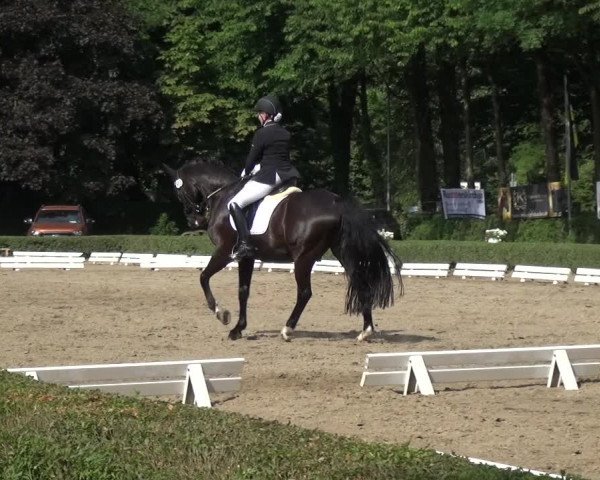 Reitturnier Krefeld - Reitanlage Kühnen 2017