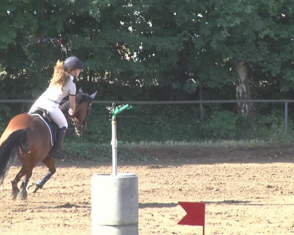 Reitturnier Wiesloch 2017