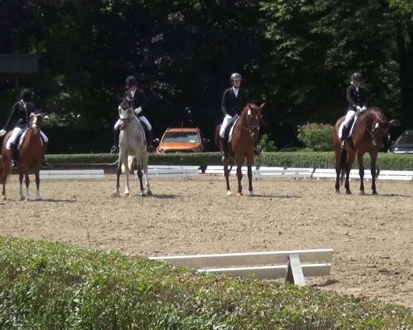 Reitturnier Krefeld - Reitanlage Kühnen 2017