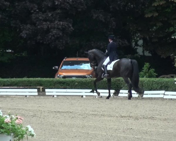 Reitturnier Krefeld - Reitanlage Kühnen 2017