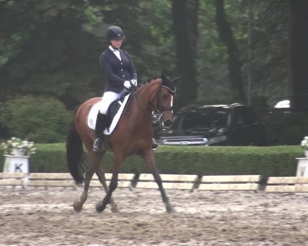 Reitturnier Krefeld - Reitanlage Kühnen 2017