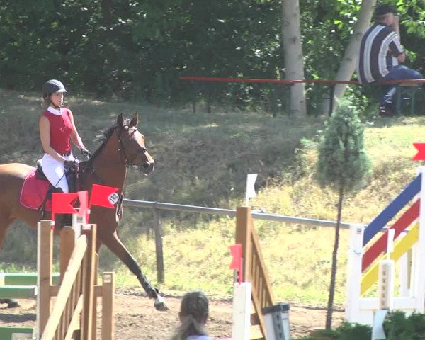 Reitturnier Wiesloch 2017