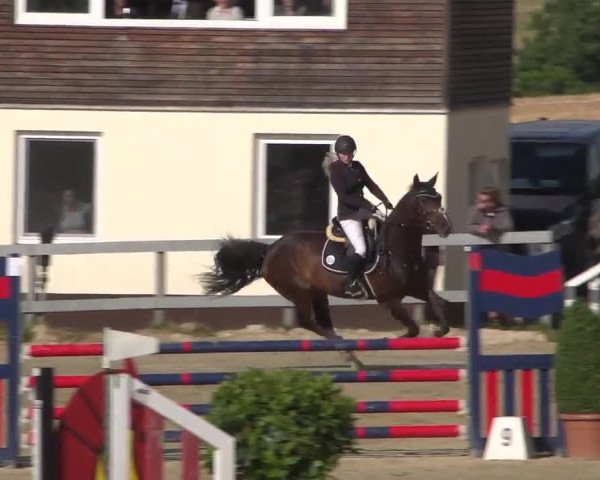 Reitturnier Kalenborn Hegehof 2017