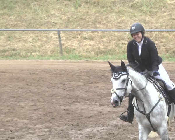 Reitturnier Wiesloch 2017