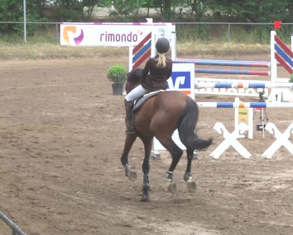 Reitturnier Wiesloch 2017