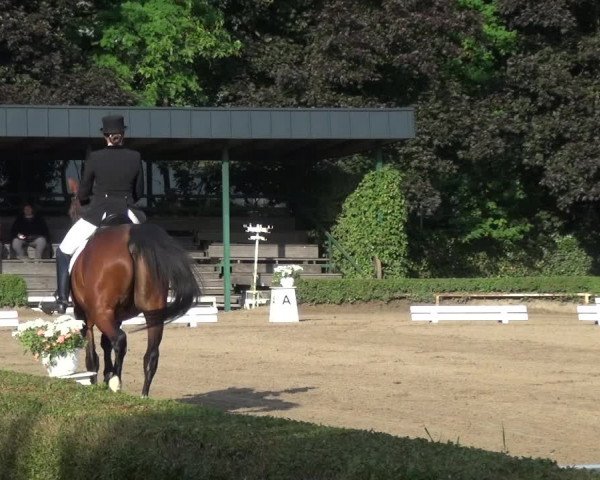 Reitturnier Krefeld - Reitanlage Kühnen 2017