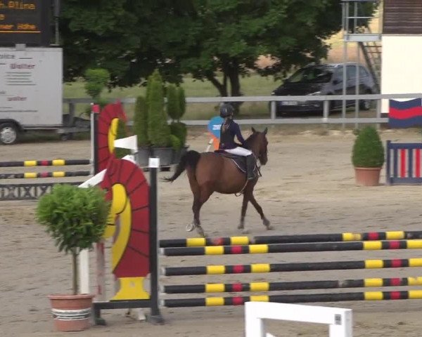 Reitturnier Kalenborn Hegehof 2017