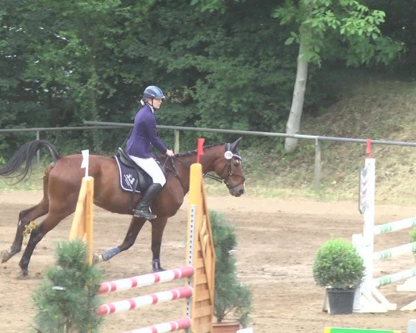 Reitturnier Wiesloch 2017