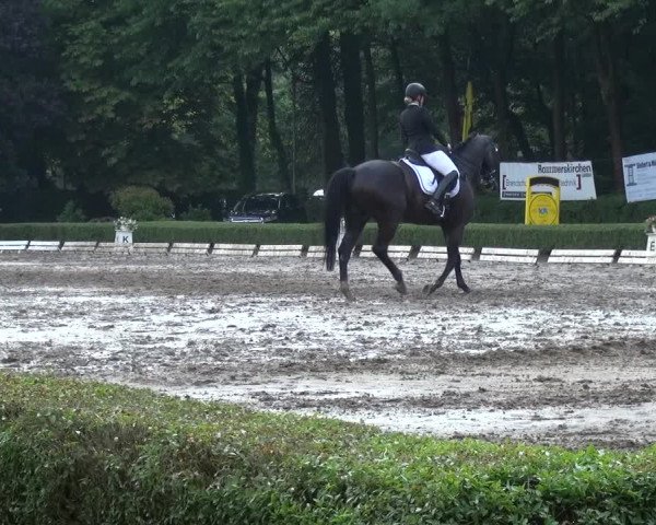 Reitturnier Krefeld - Reitanlage Kühnen 2017