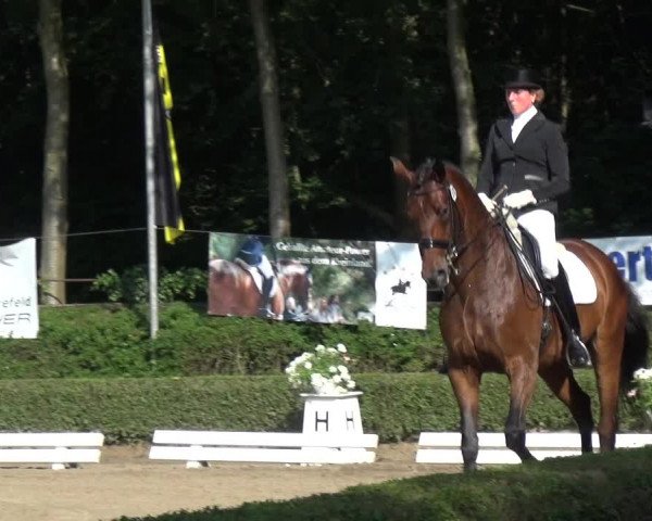 Reitturnier Krefeld - Reitanlage Kühnen 2017