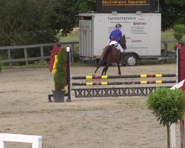 Reitturnier Kalenborn Hegehof 2017