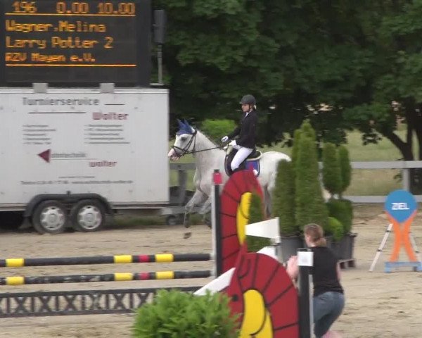 Reitturnier Kalenborn Hegehof 2017