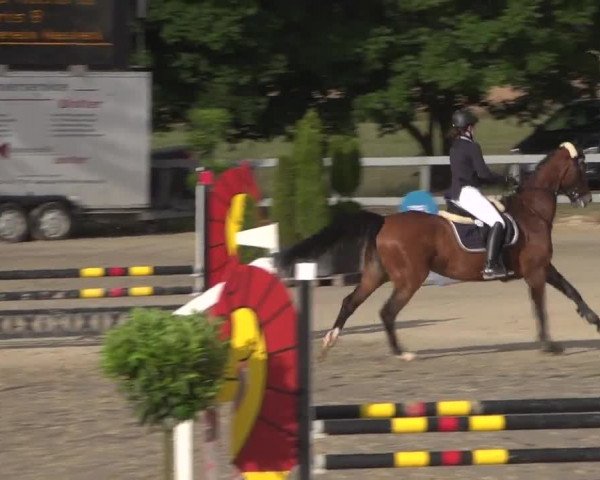 Reitturnier Kalenborn Hegehof 2017