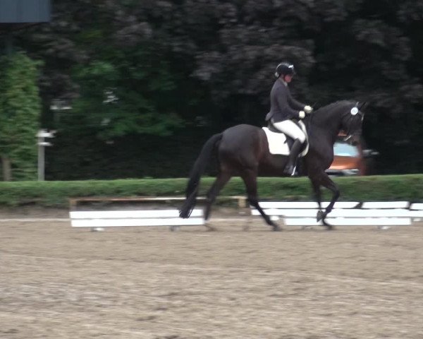 Reitturnier Krefeld - Reitanlage Kühnen 2017