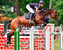 jumper C'est la vie 133 (Holsteiner, 2007, from Clarimo Ask)