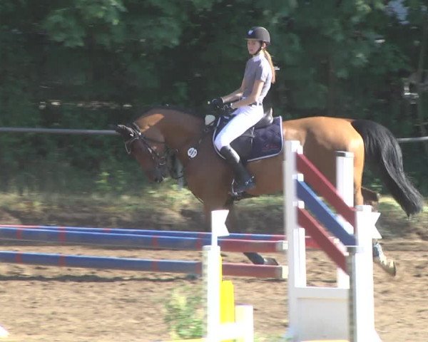 Reitturnier Wiesloch 2017
