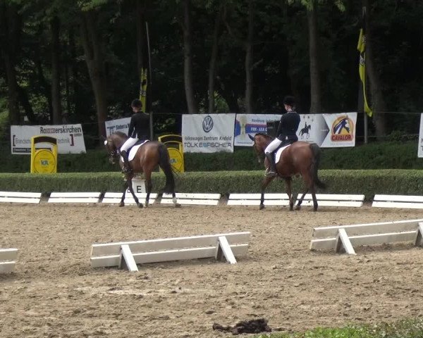 Reitturnier Krefeld - Reitanlage Kühnen 2017