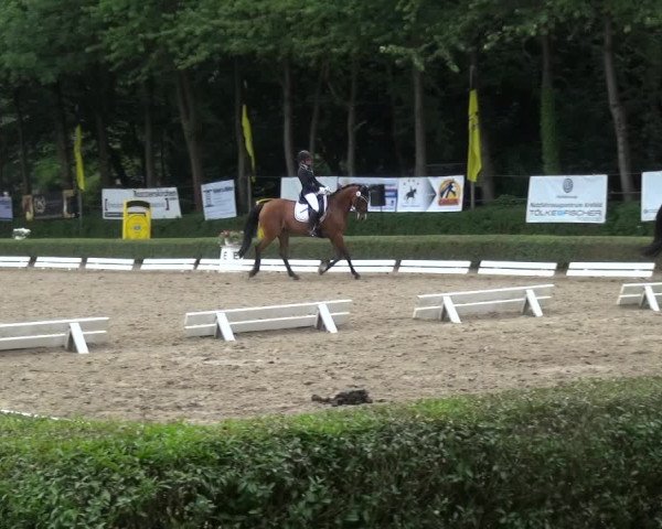 Reitturnier Krefeld - Reitanlage Kühnen 2017