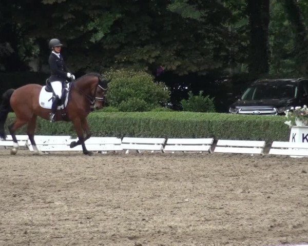 Reitturnier Krefeld - Reitanlage Kühnen 2017