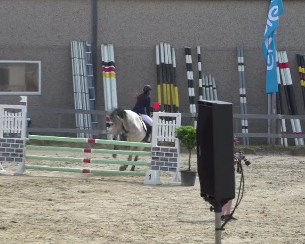 Reitturnier Kalenborn Hegehof 2017