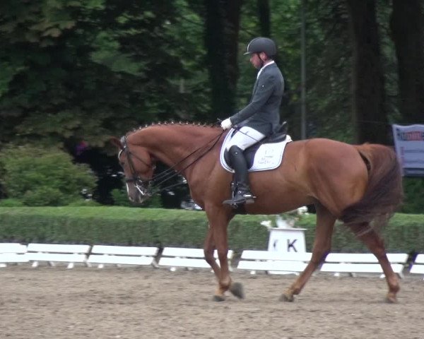 Reitturnier Krefeld - Reitanlage Kühnen 2017
