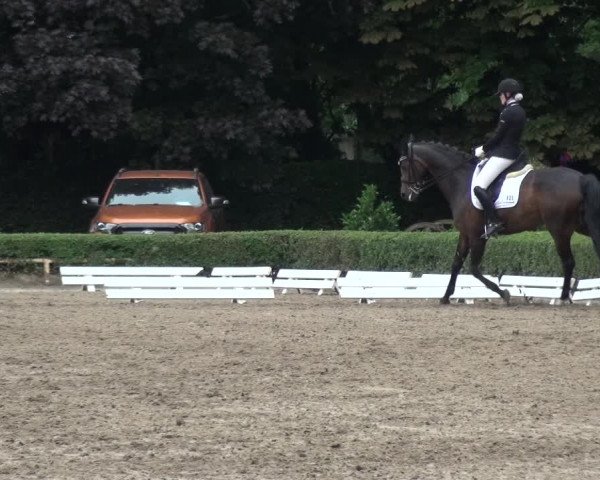 Reitturnier Krefeld - Reitanlage Kühnen 2017