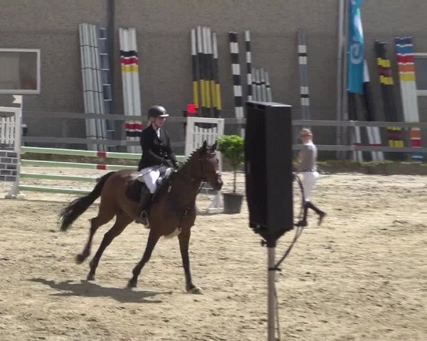 Reitturnier Kalenborn Hegehof 2017