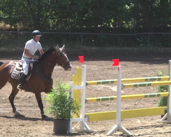 Reitturnier Wiesloch 2017