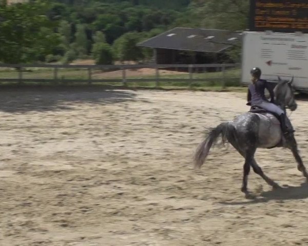 Reitturnier Kalenborn Hegehof 2017