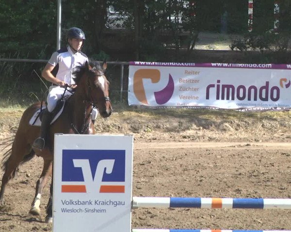 Reitturnier Wiesloch 2017