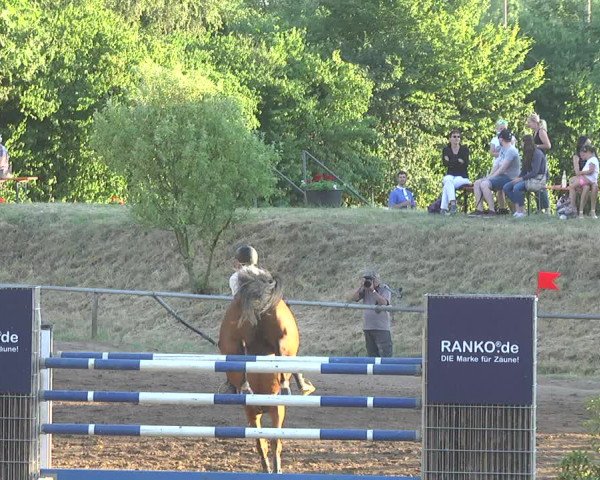 Reitturnier Wiesloch 2017