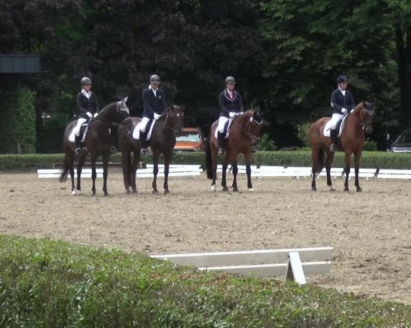 Reitturnier Krefeld - Reitanlage Kühnen 2017