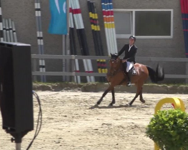 Reitturnier Kalenborn Hegehof 2017