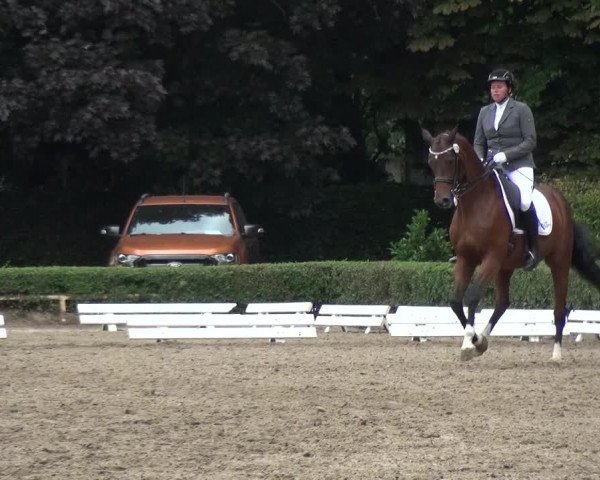 Reitturnier Krefeld - Reitanlage Kühnen 2017