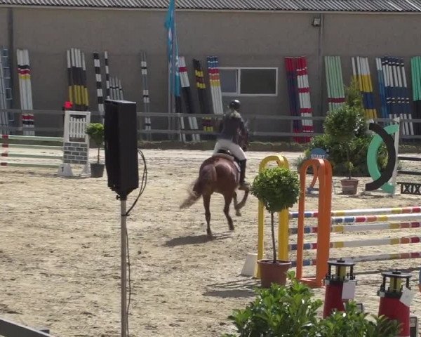 Reitturnier Kalenborn Hegehof 2017